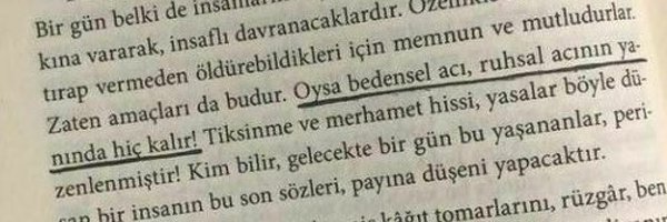 masalsi____ Profile Banner