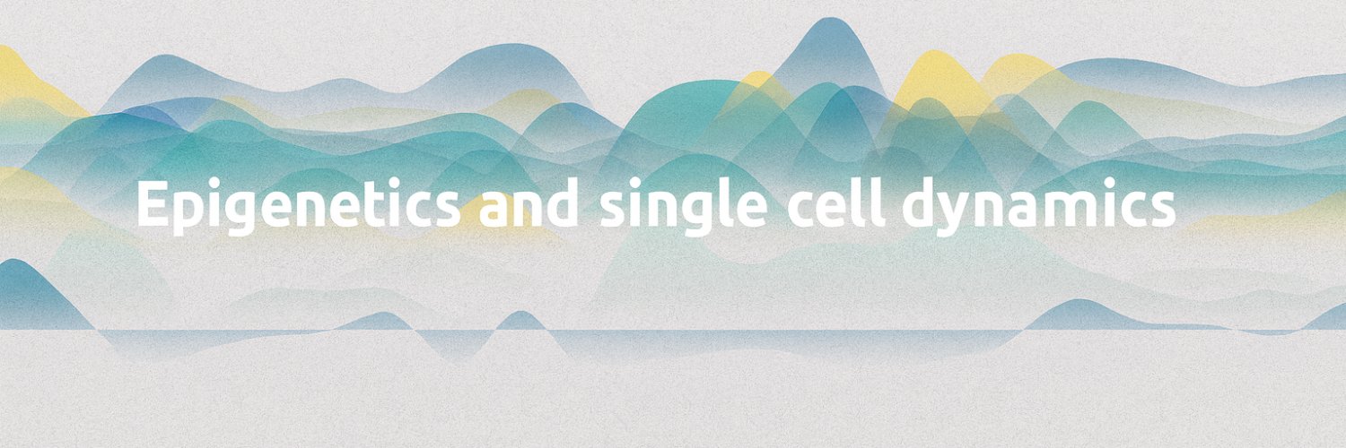 scell_dynamics's profile banner image