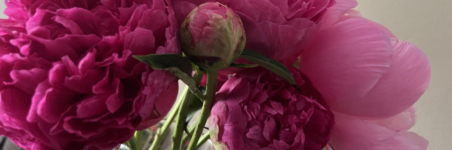leaharutoff's profile banner image