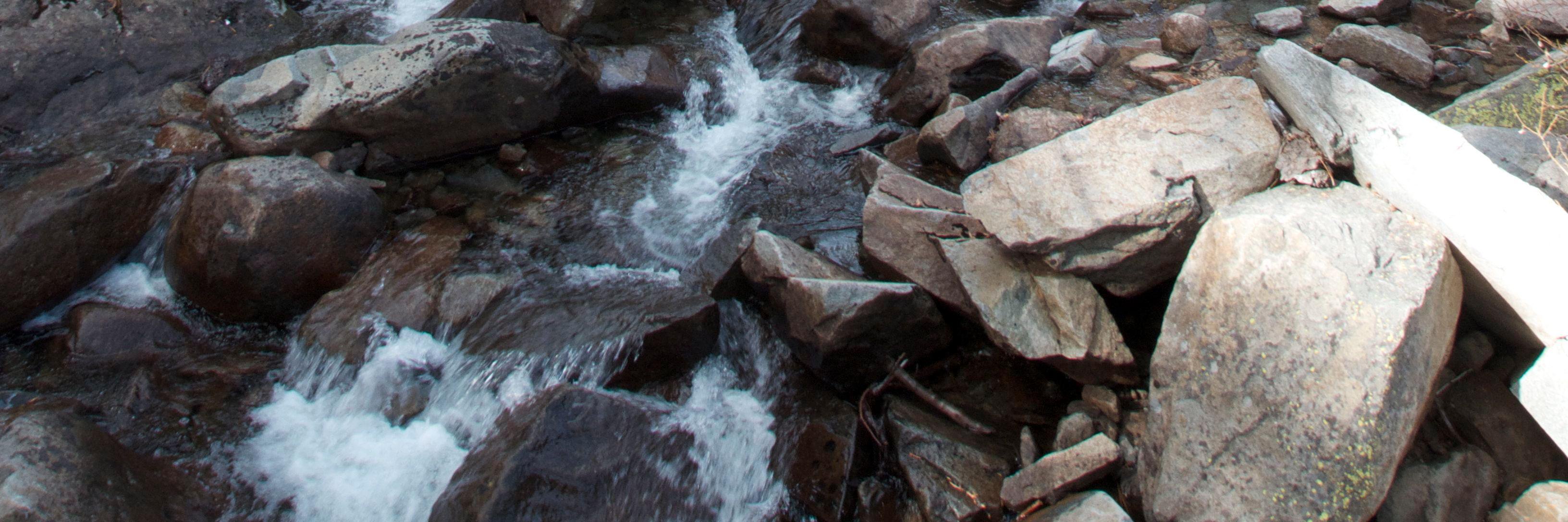 jmvarni's profile banner image