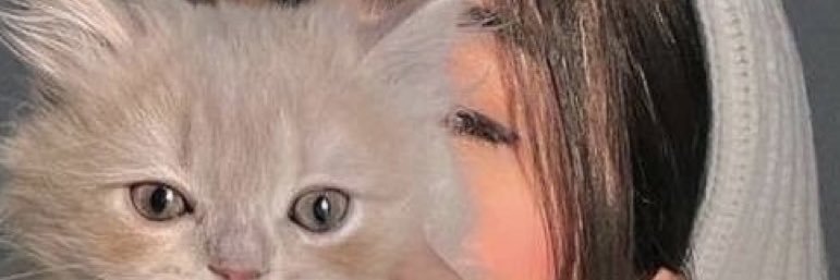 🥀 banner