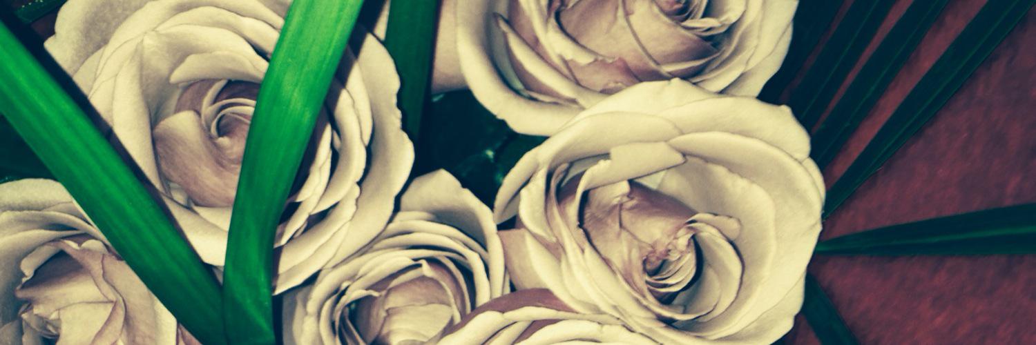 SarahALaing's profile banner image