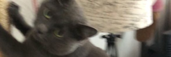 coolleenbeans's profile banner image