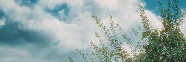 dungshil777 Profile Banner