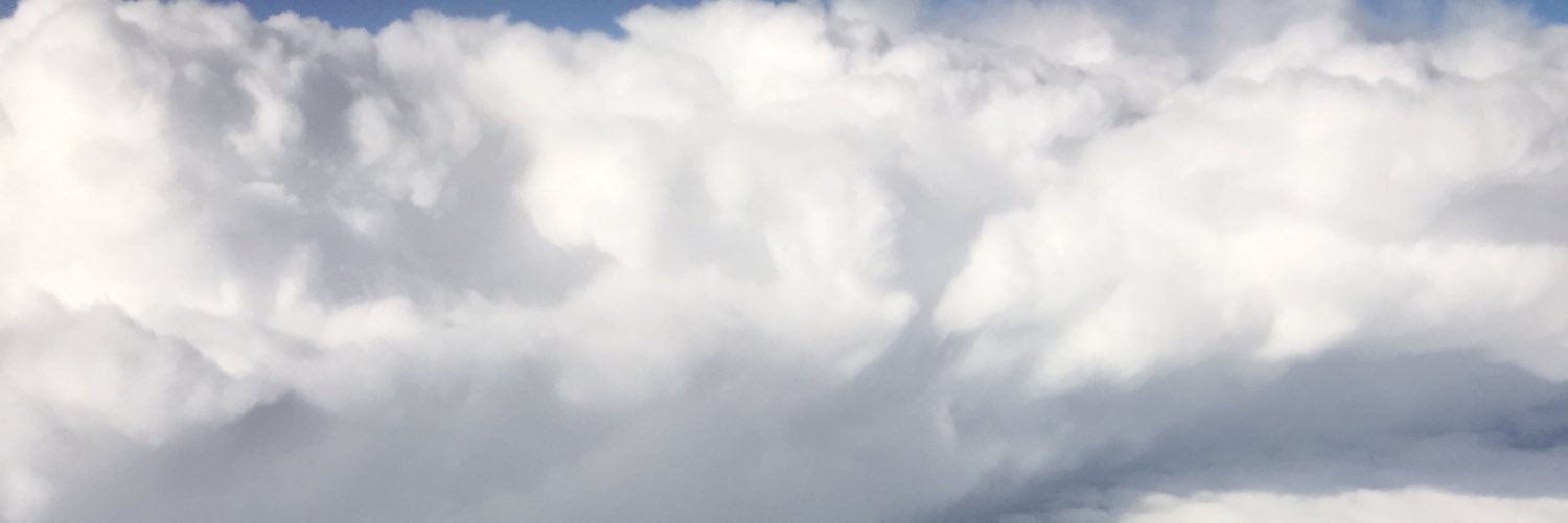 Nick Stanger banner