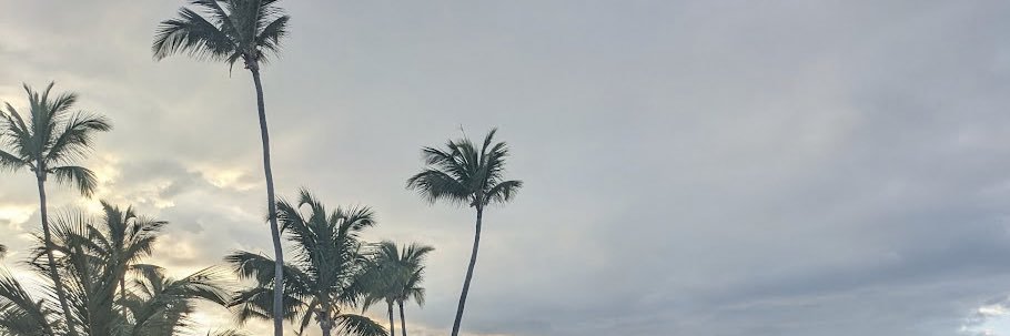 voghed's profile banner image