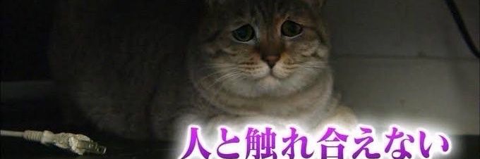 oto_kwus's profile banner image