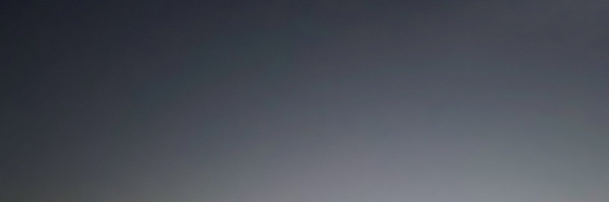 amelia banner