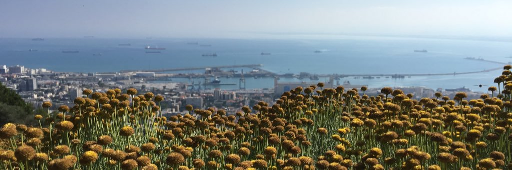 biabiancakerman's profile banner image