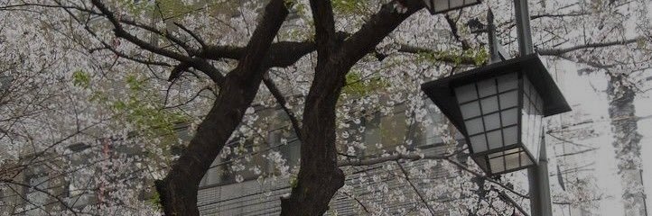 ‏ً's banner