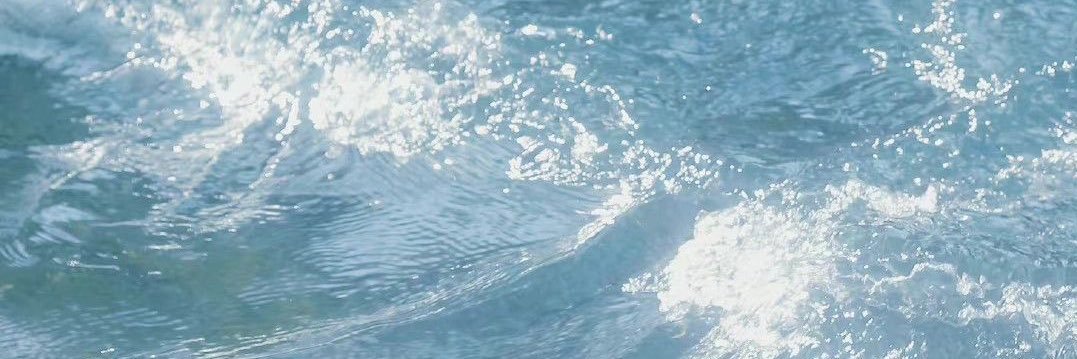 Endlessummer813's profile banner image