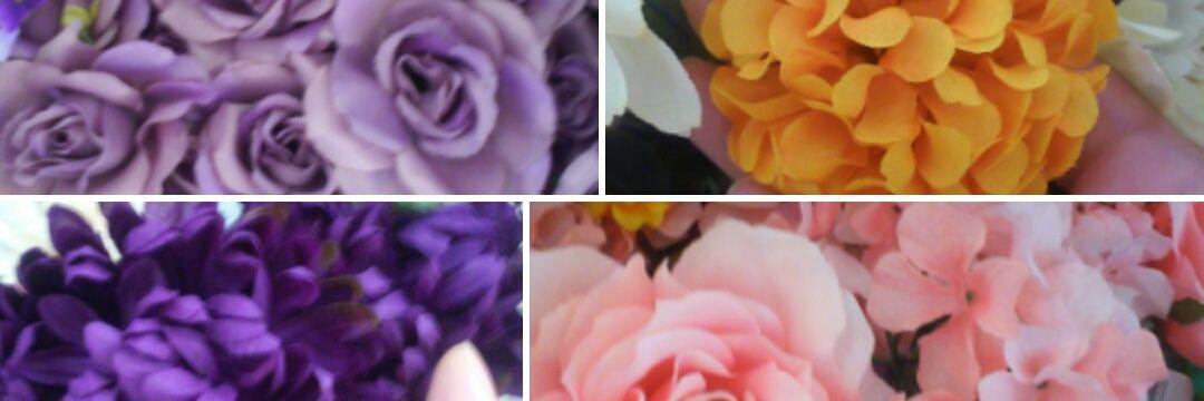_exoticness_'s profile banner image
