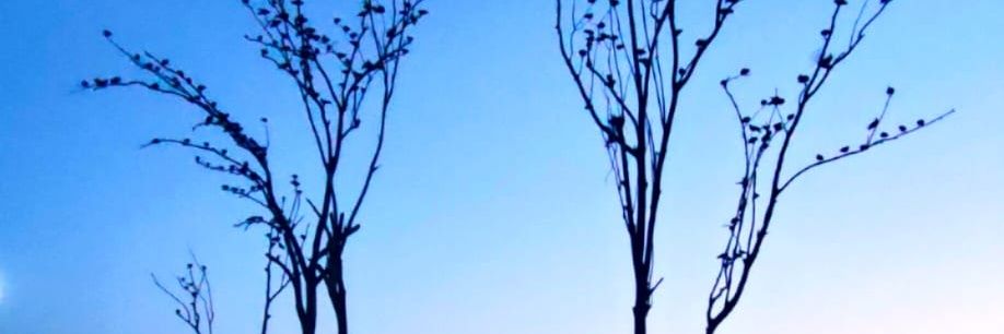 aayushgsa's profile banner image