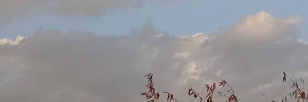 SUP banner