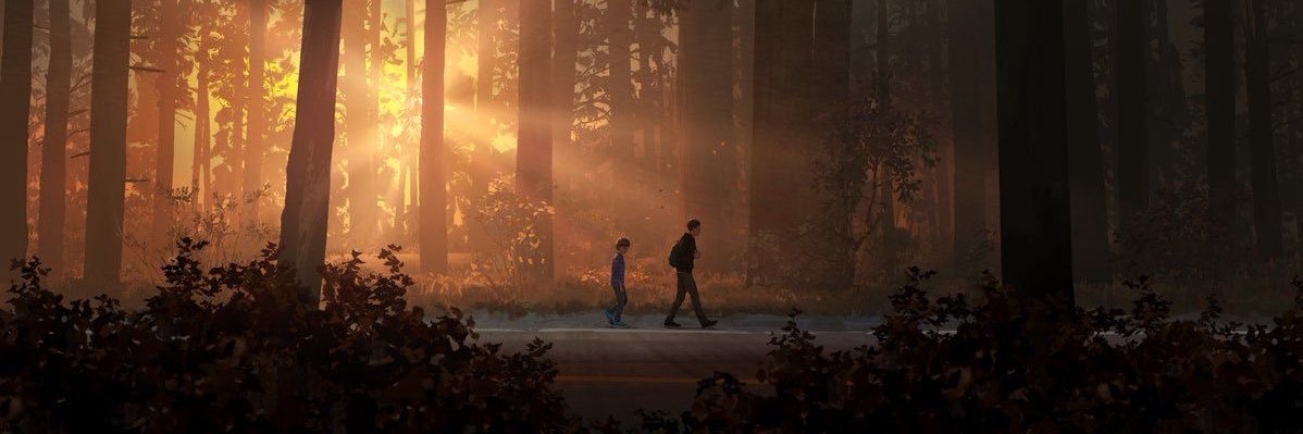 sunny 🍂 jurídico coruja. banner