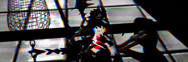 silluscholus Profile Banner