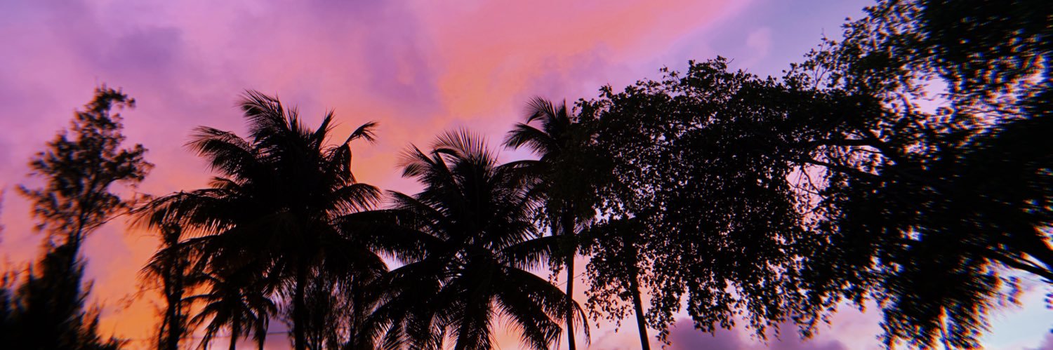 ultraelectrabby's profile banner image