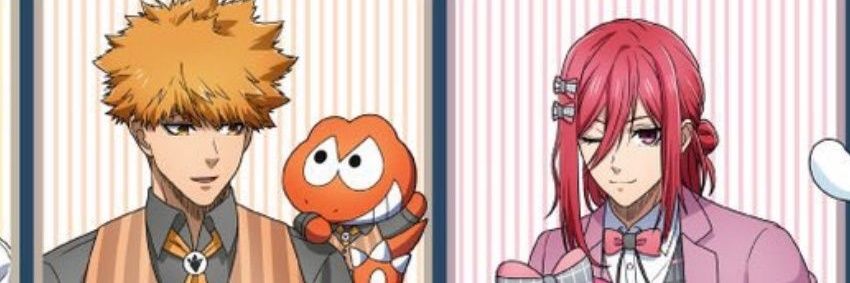 PL banner