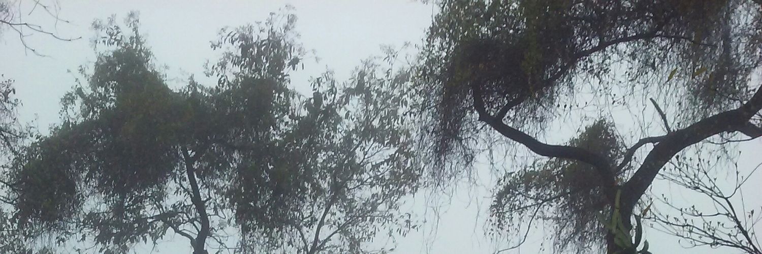 Mayeslilopez's profile banner image