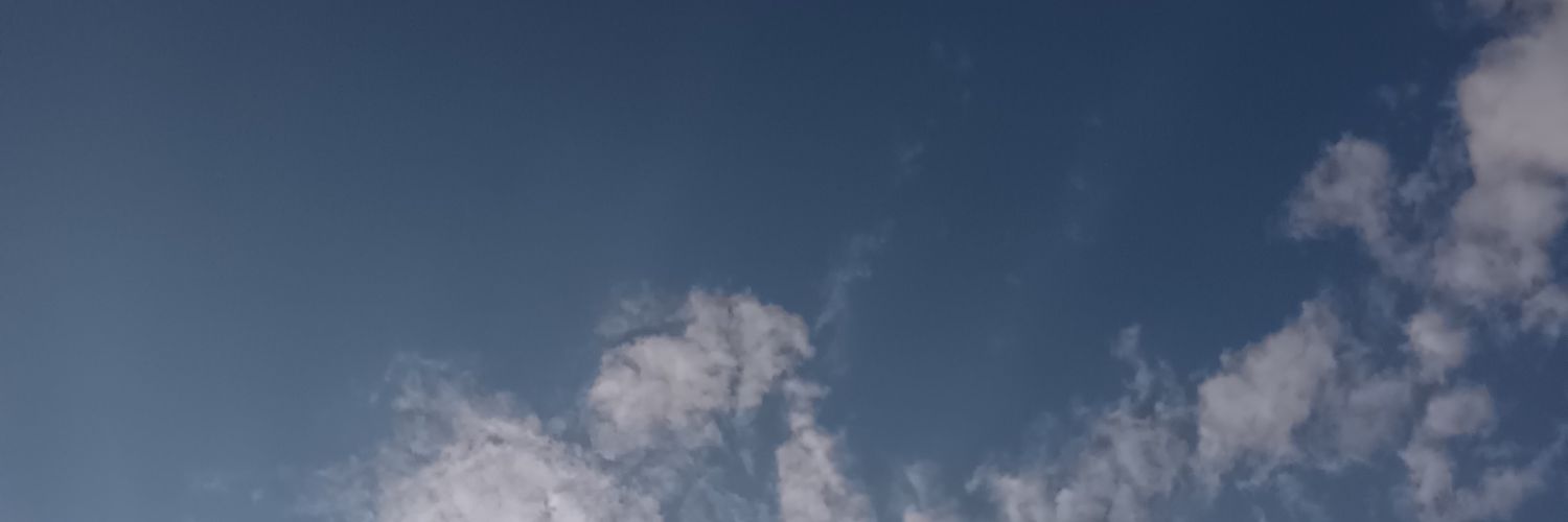 🪼 banner
