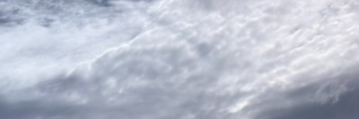 pteromys_sb's profile banner image