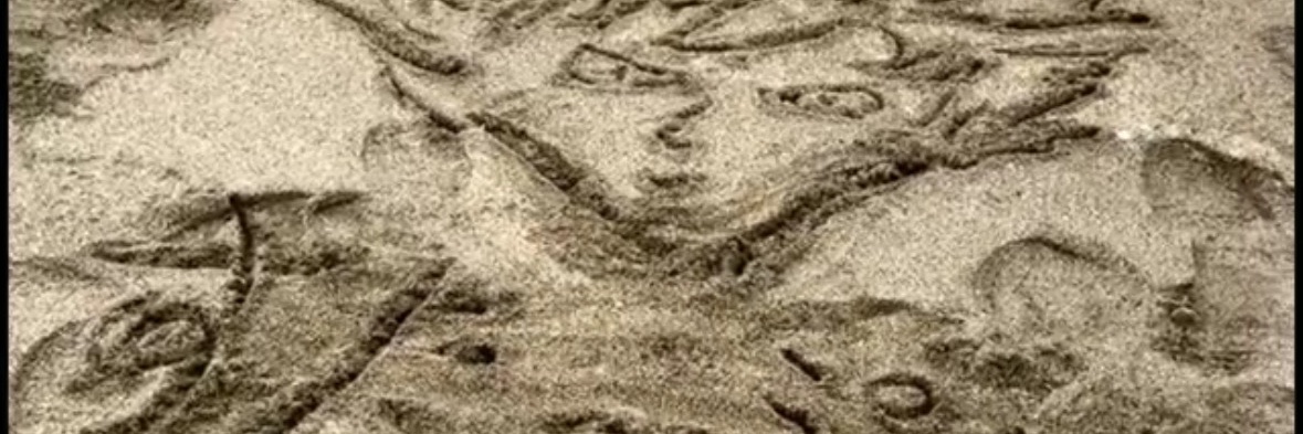 obokata8's profile banner image