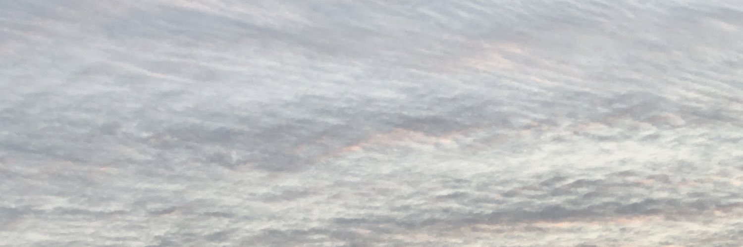RachelAW banner