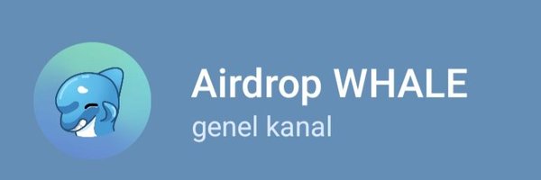 Ykmzcrypto Profile Banner