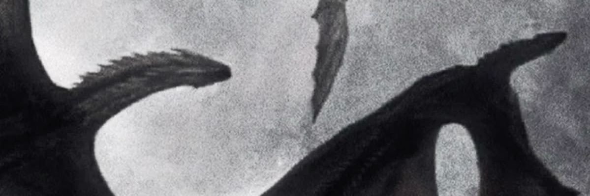 💭's banner
