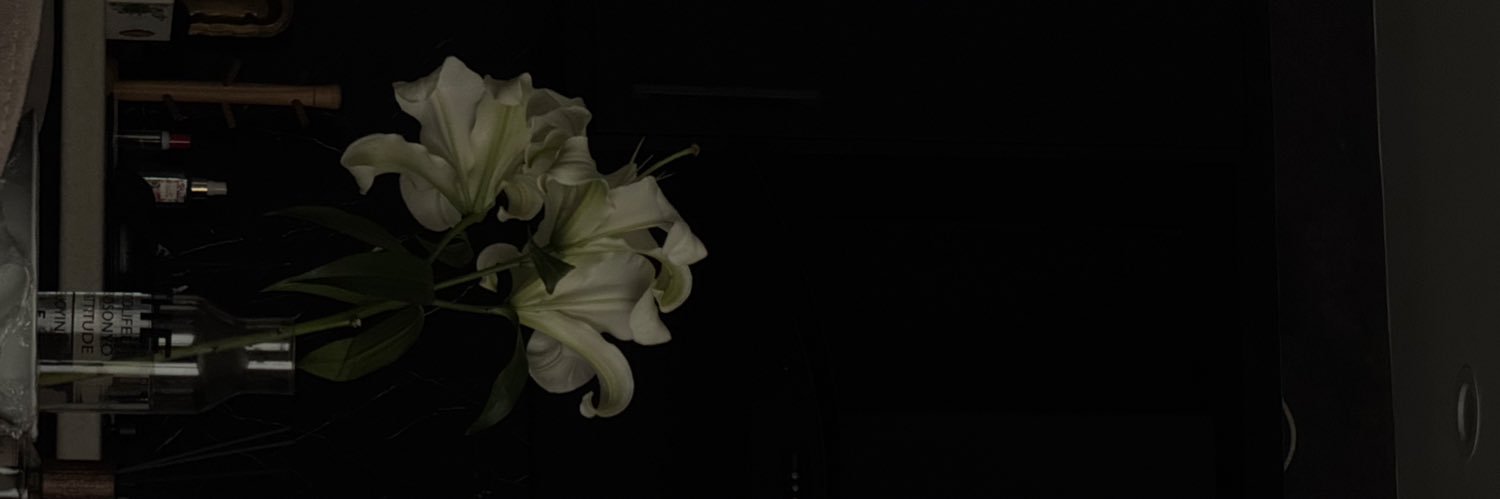 targoll0's profile banner image
