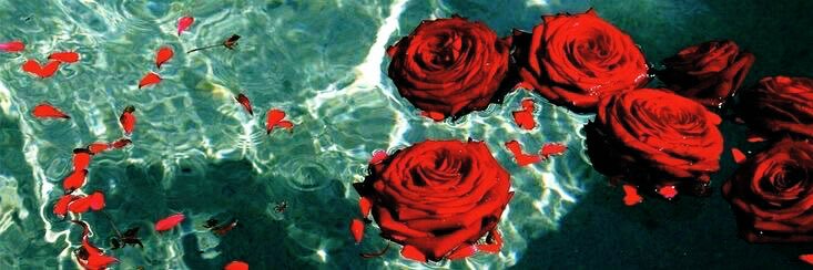 Vits 🥀 banner