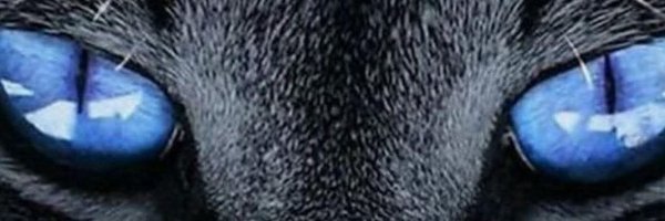 EVArtsNet Profile Banner