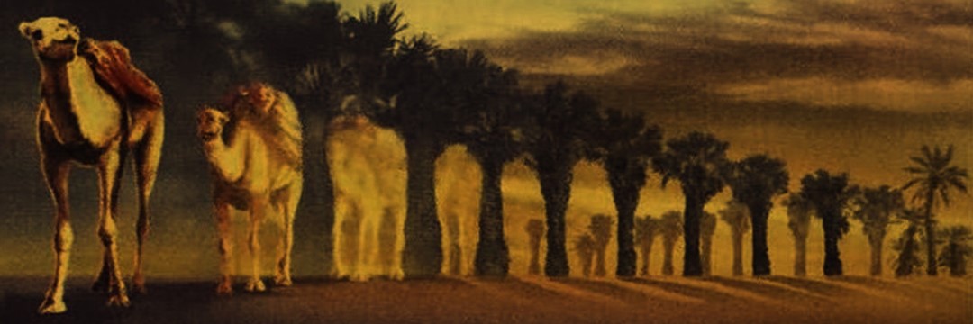 جميل banner