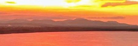 Chris Waine Jnr banner