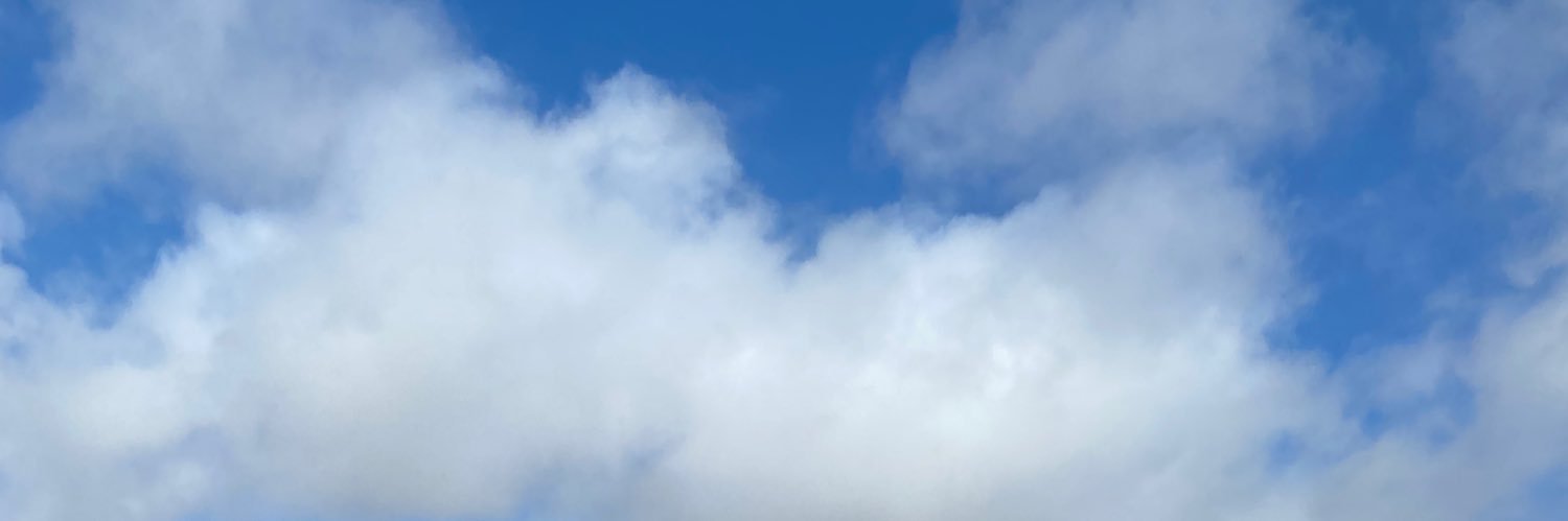 Angelique Vaars banner