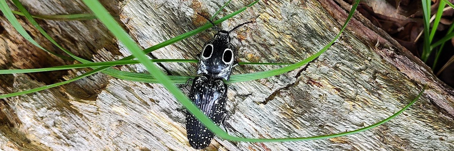 T. Ralph Bishop ✌️🫶☝️🪶✝️ banner