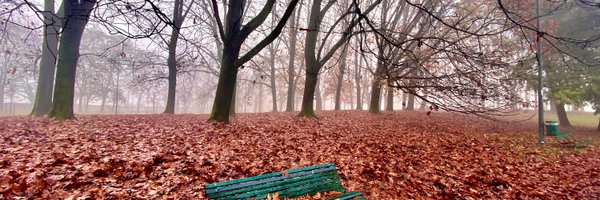 Blueyesmi Profile Banner