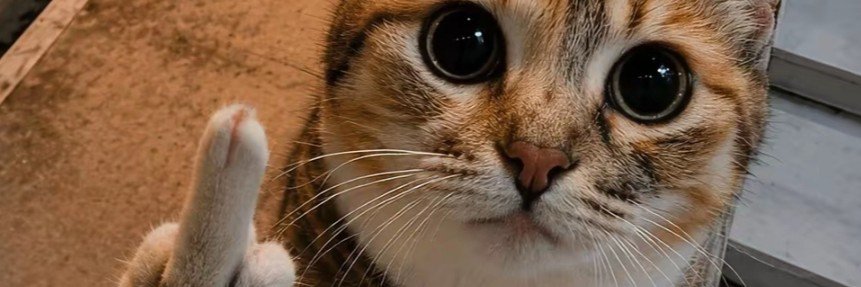 losherrera73's profile banner image