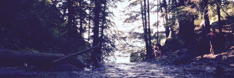 bayy0109's profile banner image