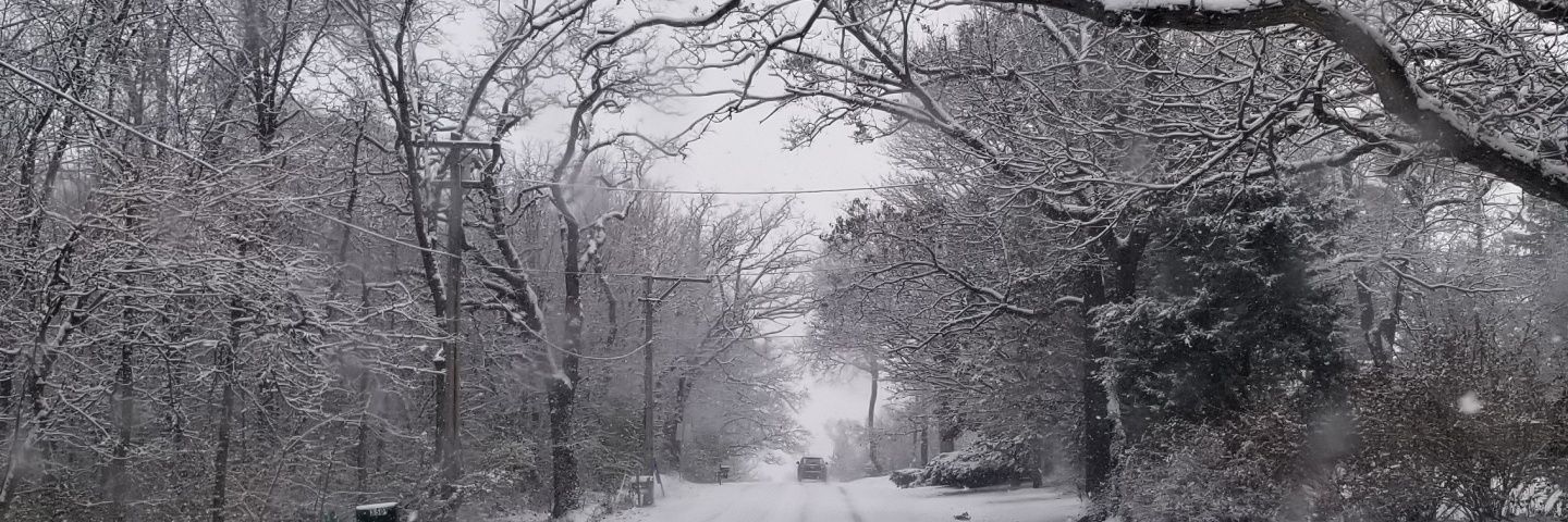 Ashley Puenner banner