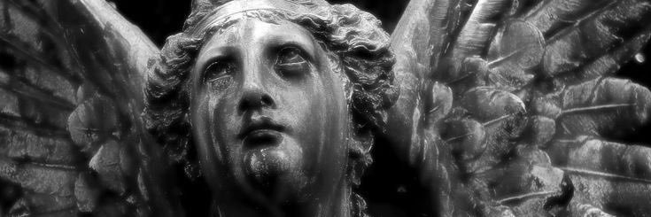 crollo bahiano banner