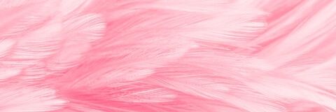 Aimee Valentina banner