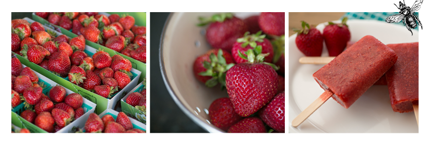 farmtotablela's profile banner image
