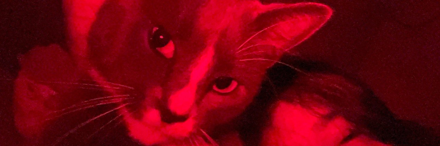 katcatt0's profile banner image