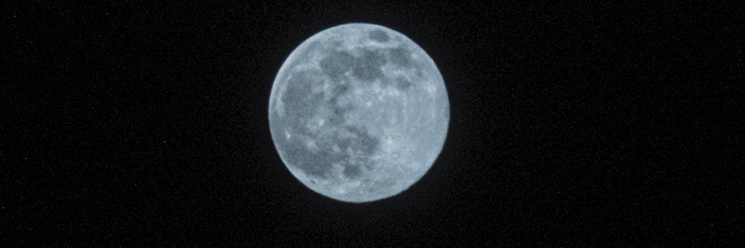 wleo22's profile banner image