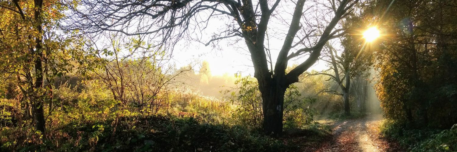 Aleksandra Fos banner