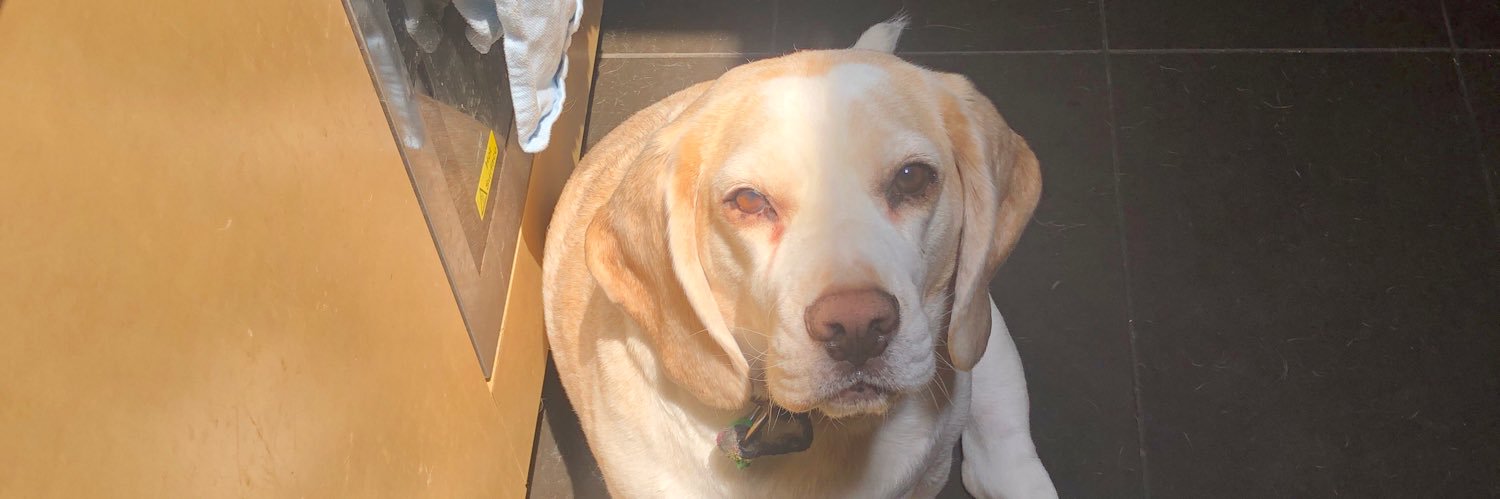 dooglelover's profile banner image