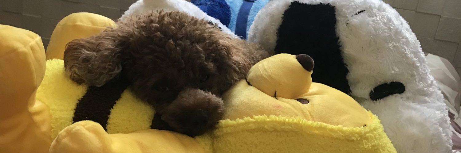 muuuuzz's profile banner image