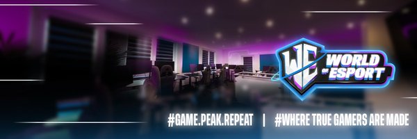 WOEbootcamp Profile Banner