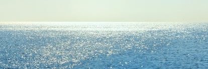 Gérard Ribot banner